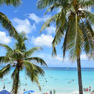 Sommer, Strand und Meer - Und der passende Sommerhit dazu!