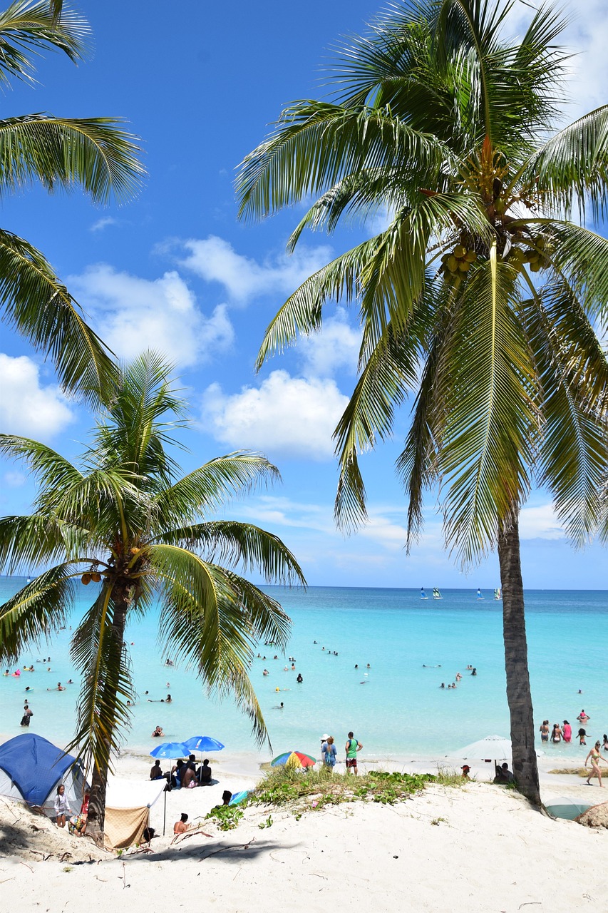 Sommer, Strand und Meer - Und der passende Sommerhit dazu!